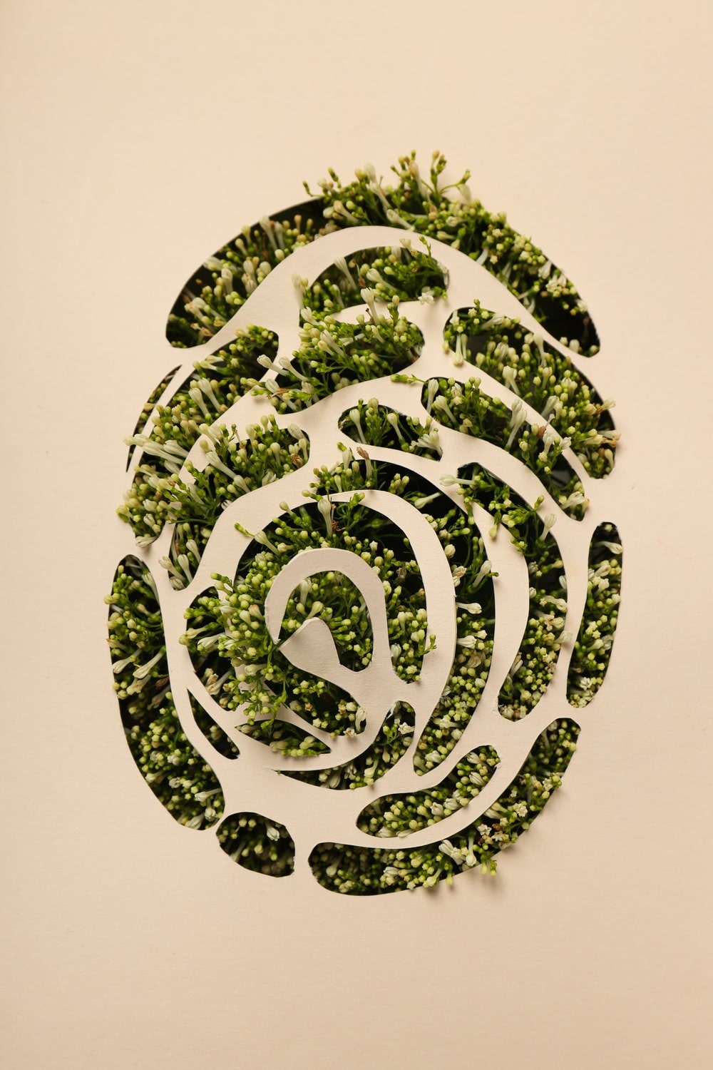 Vision of global sustainability